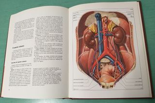 Enciclopedia familiar de la medicina y la salud.