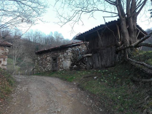 Finca con cuadra y horreo Pola de Laviana