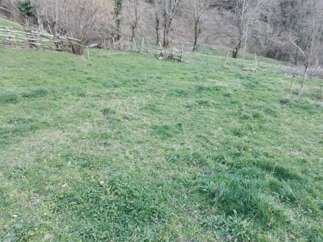 Finca con cuadra y horreo Pola de Laviana