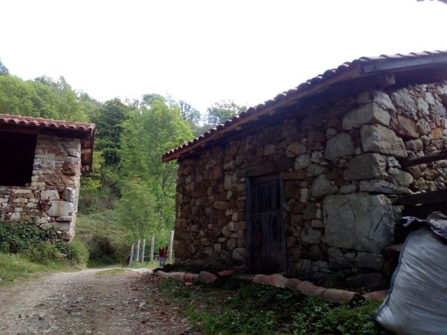 Finca con cuadra y horreo Pola de Laviana