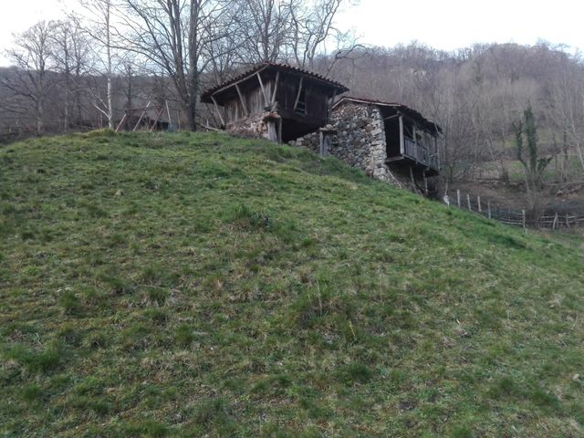 Finca con cuadra y horreo Pola de Laviana