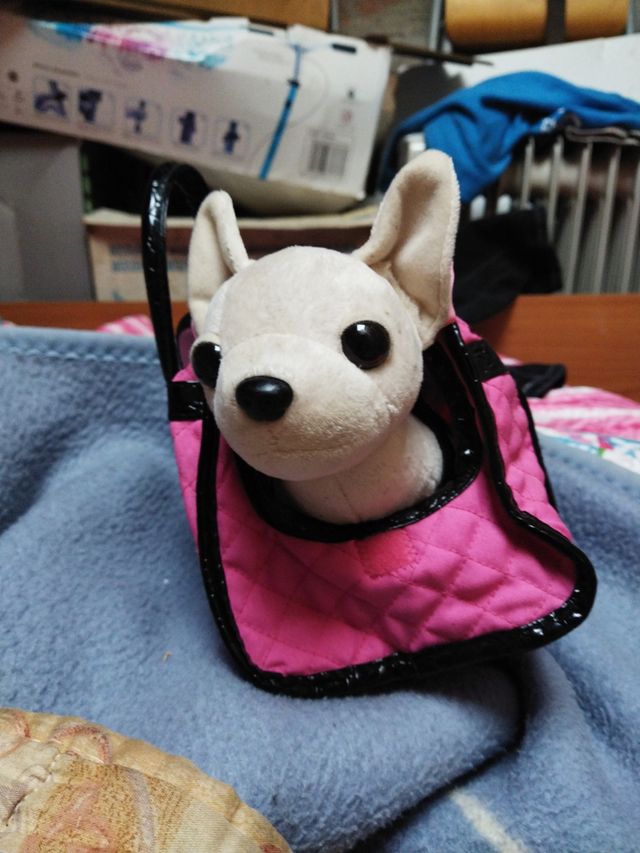 perrito ytransportin