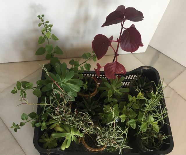 Detallitos para regalar