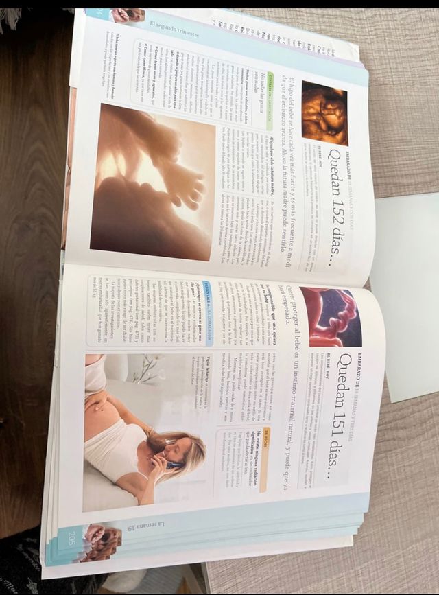 Libro Embarazo día a día 