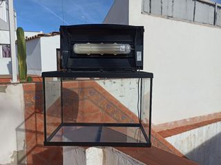 Terrario acuario o pecera  muy nueva 