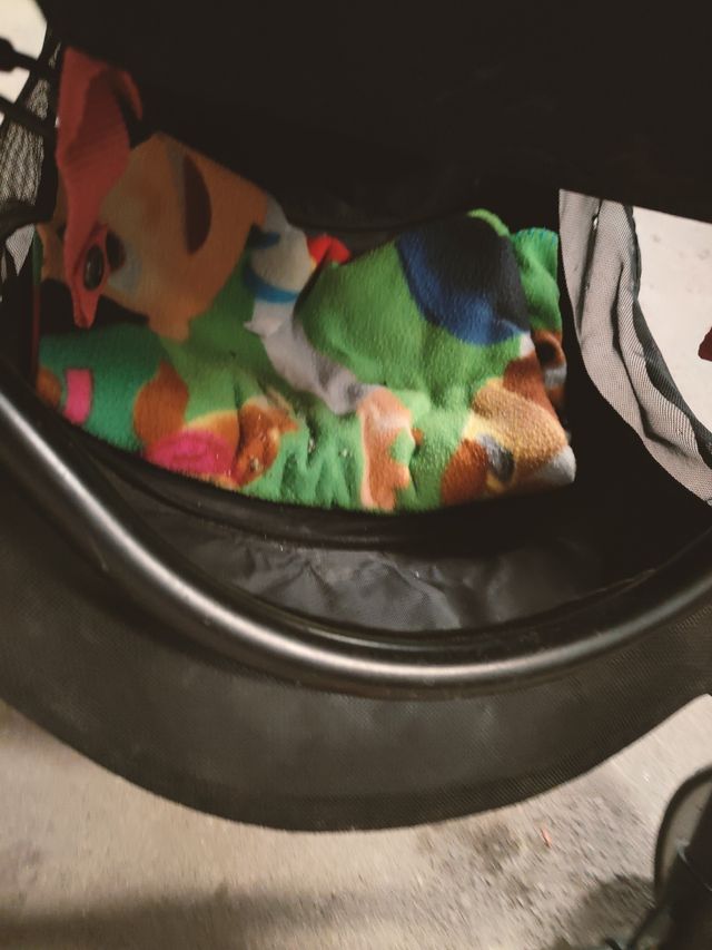 Silla de paseo en perfecto estado