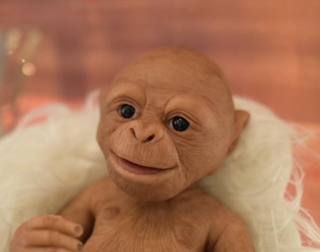 Prímate reborn silicona platino 45 cm