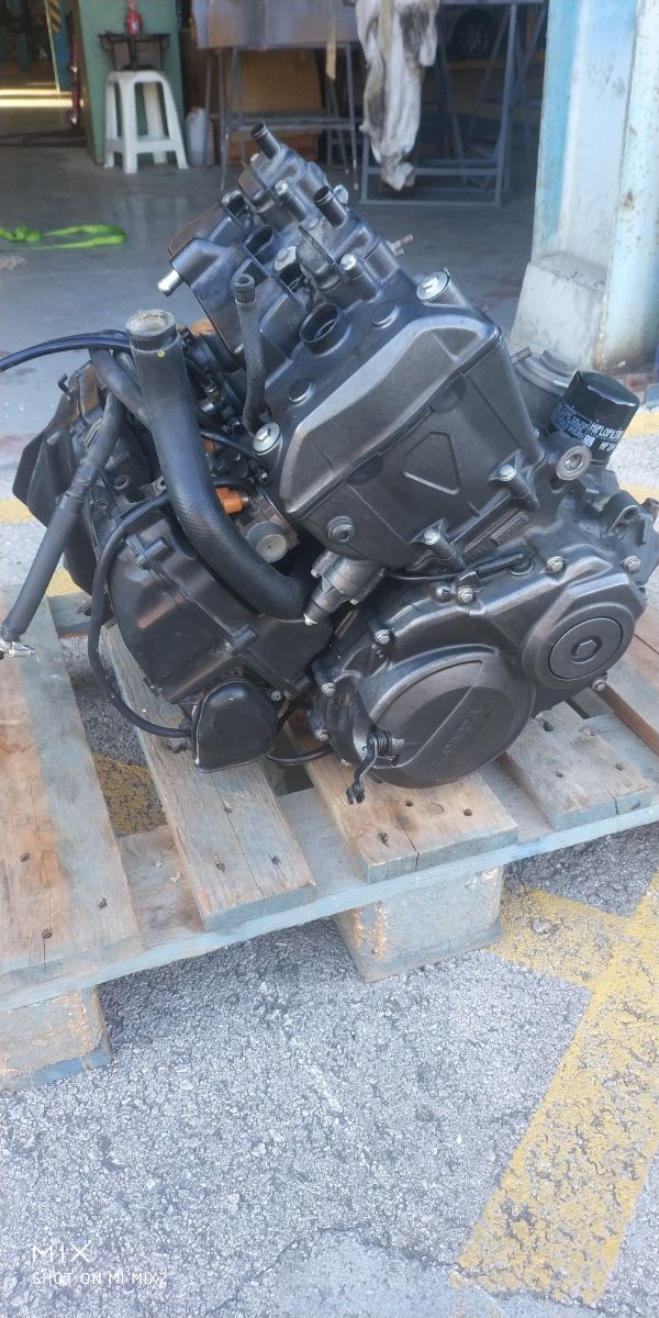 Motor hornet 2007