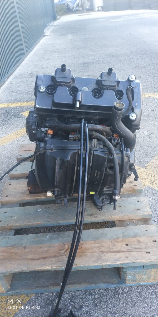 Motor hornet 2007