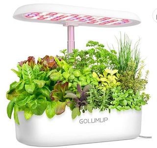 Sistema de Cultivo Hidropónico Cultivo Interior