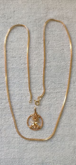 Cadena y Colgante 