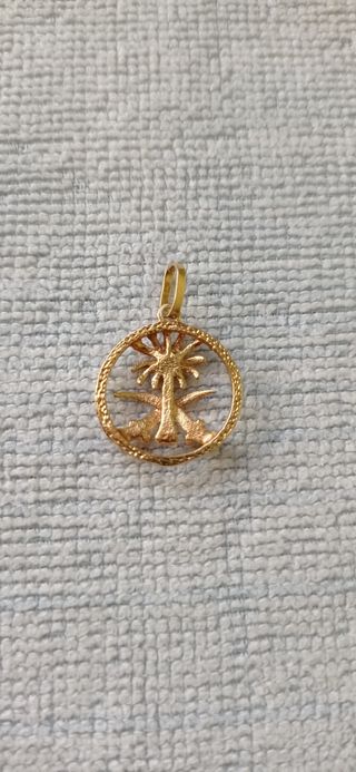Cadena y Colgante 