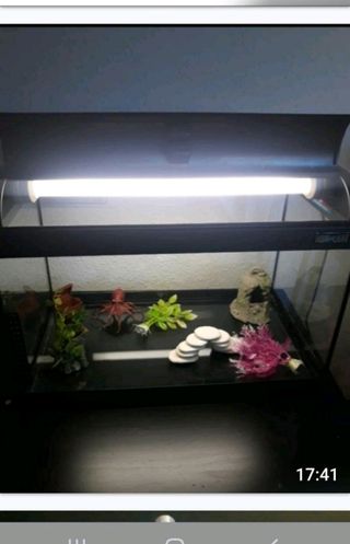 Acuario completo, para hacer un buen regalo