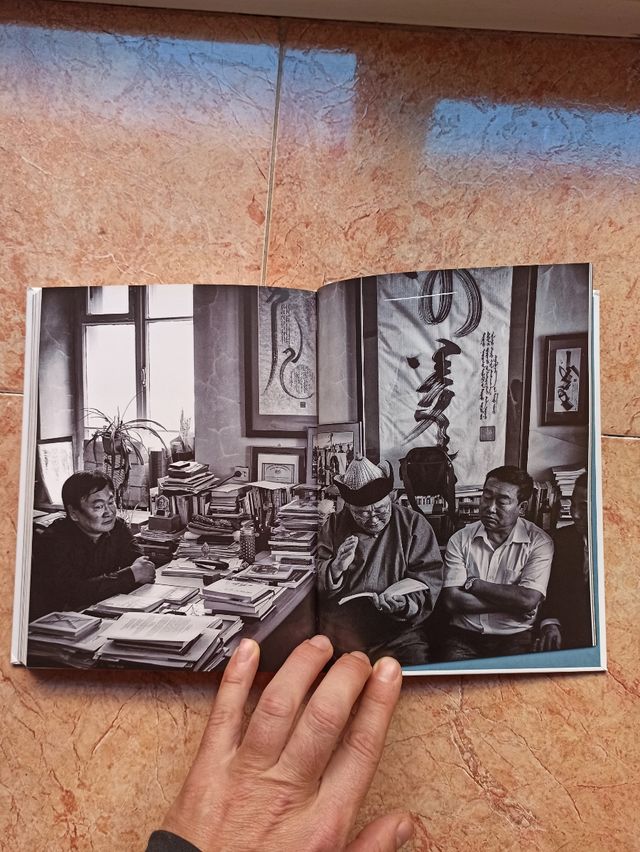 Mongols de Olivier Laban Mattei 