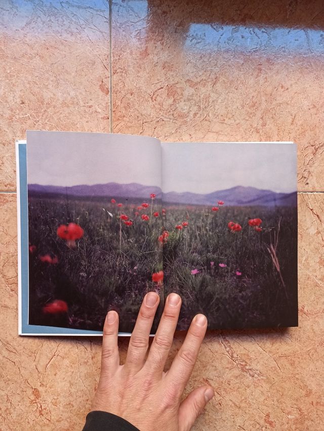 Mongols de Olivier Laban Mattei 