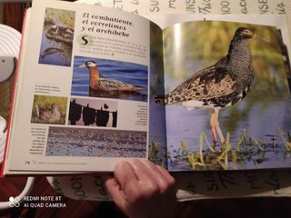 250 curiosidades de los animales.Susaeta.