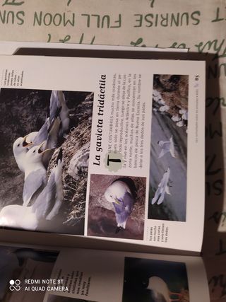 250 curiosidades de los animales.Susaeta.