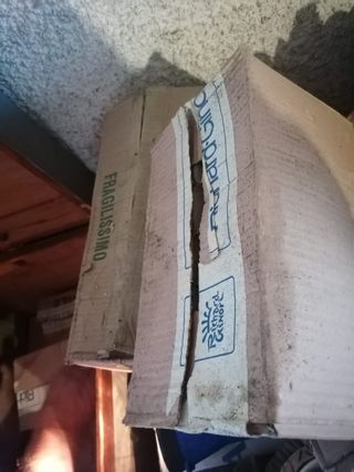 12 Tazzine con piattino per caffè espresso bar