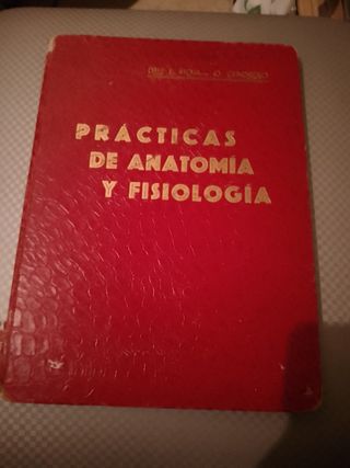 prácticas de anatomía y fisiología 