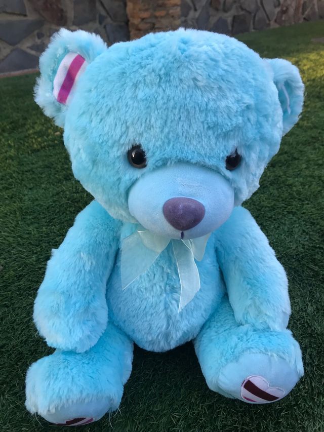 Osito de peluche