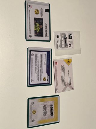 Lote Haaland cards