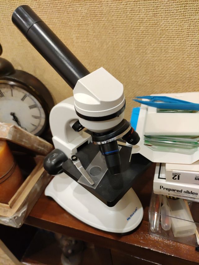 Microscopio Muy first lab