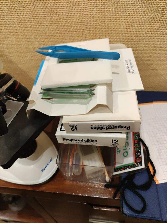 Microscopio Muy first lab