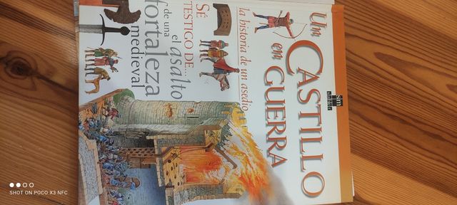 libro de Castillos