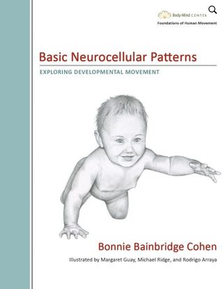 Basic Neurocellular Patterns. Bonnie B. Cohen