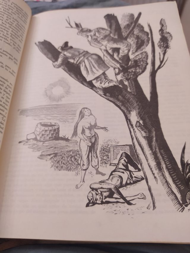 Libro clasico:" Las Mil y Una Noches "