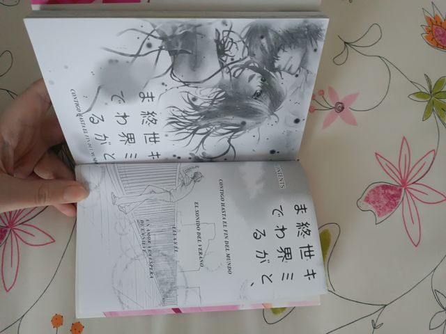 Manga contigo hasta el fin del mundo