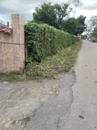 manitas reformas en general 
