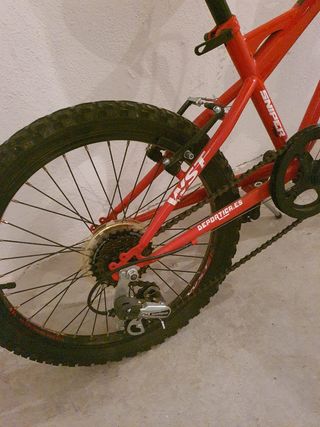 BICICLETA WST