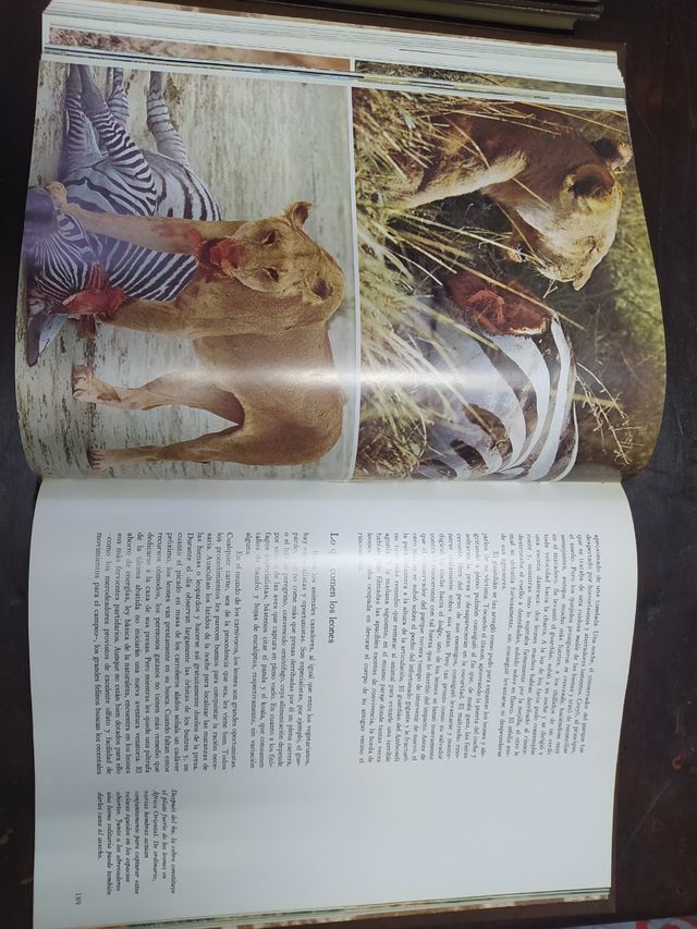 Enciclopedia Fauna de Salvat