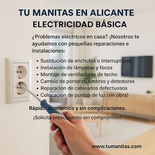 ELECTRICISTA - ELECTRICISTA ECONÓMICO 