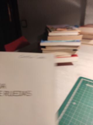 La vida sobre ruedas