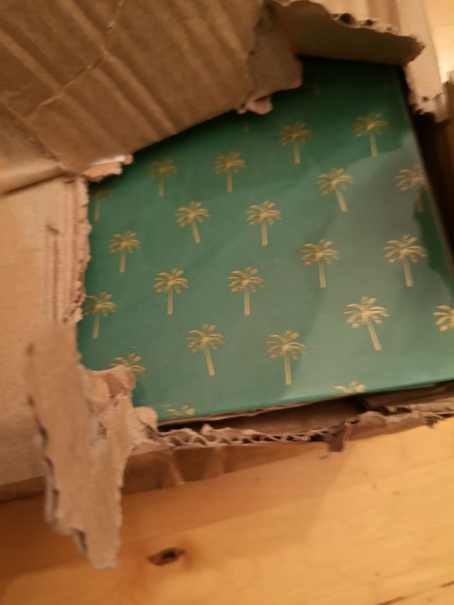 Piatti quadrati verdi Palmeritas, nuovi di zecca!