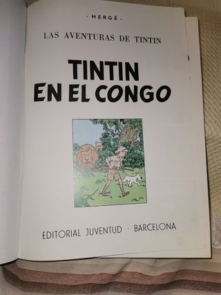 Las aventuras de tintin