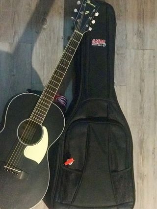 Ibanez PN14-WK