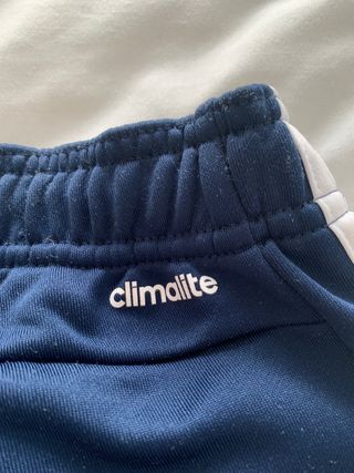 Chandal Adidas 3 Stripes Climalite Hombre