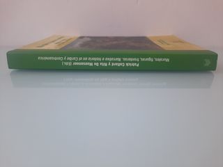 Murales, figuras, fronteras