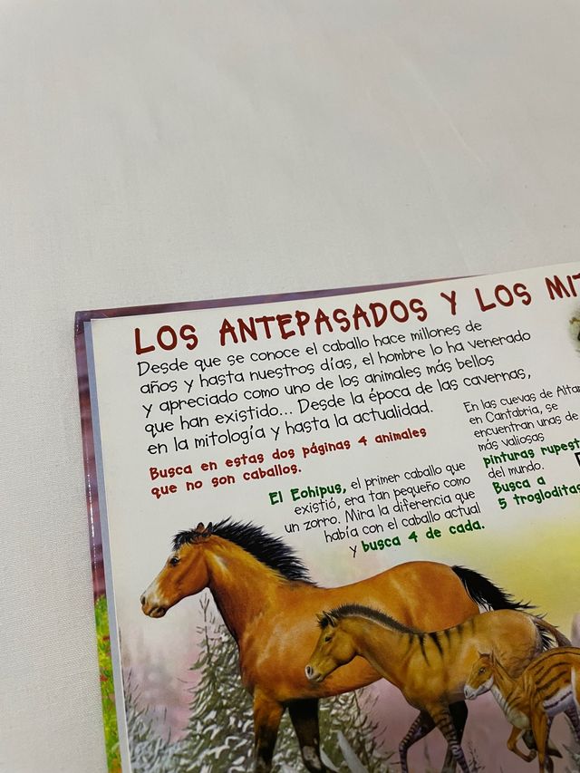 Libro Busca los caballos y ponis