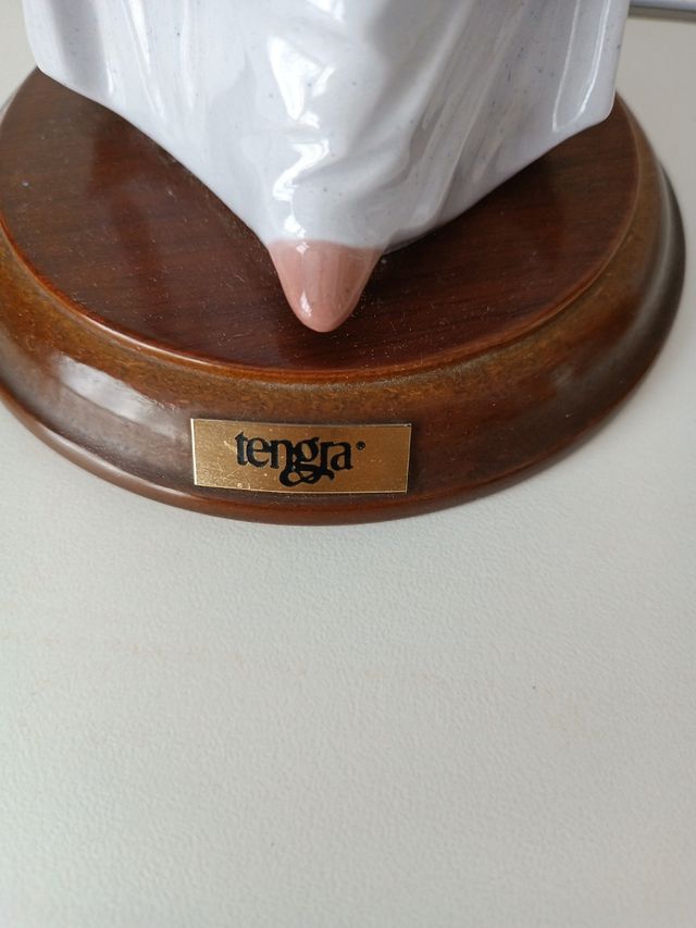 Figura de tengra