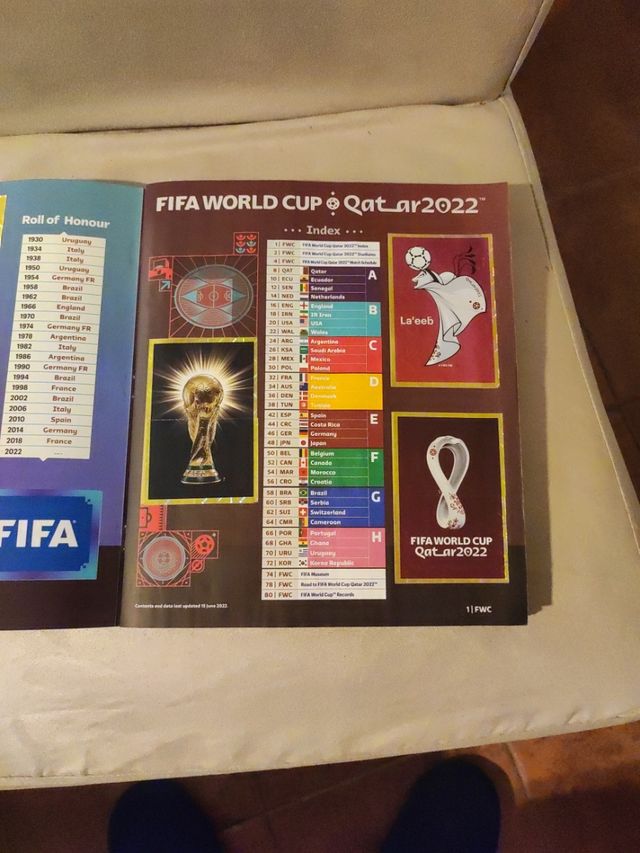 QATAR WORLD CUP 2022