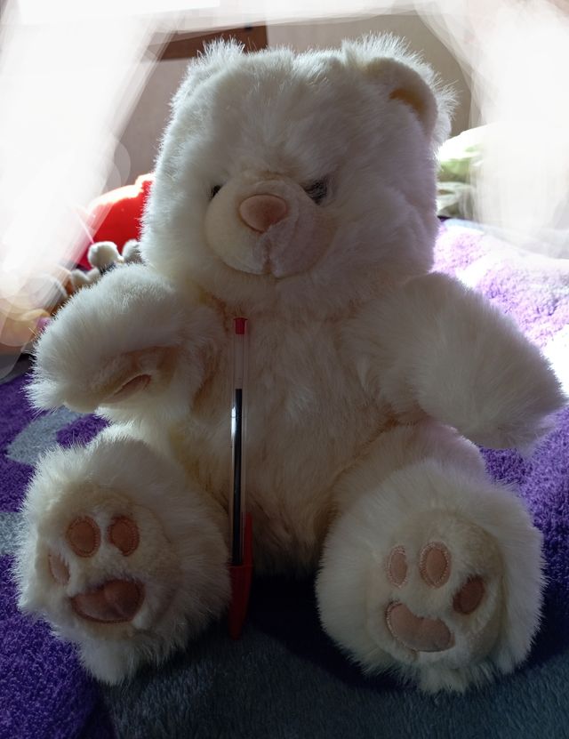 Peluches grandes y medianos