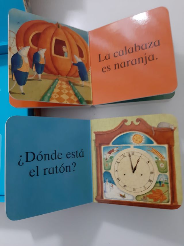 Primeras preguntas, con 4 minilibros - Alison Jay