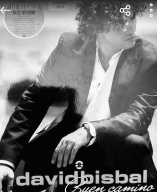 Libro David Bisbal "El buen camino"