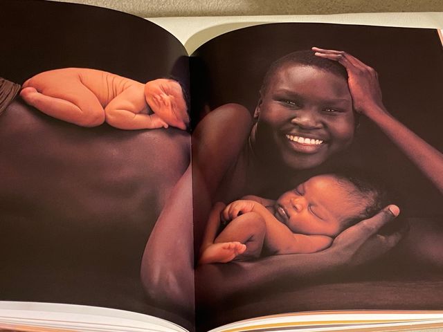 Anne Geddes: Vida