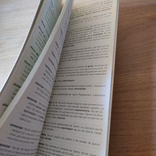 Dubtes i barbarismes