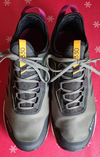 Zapatillas Adidas TERREX 330 de segunda mano por 60 EUR en Fuenlabrada en  WALLAPOP